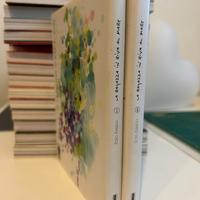 LA RAGAZZA IN RIVA AL MARE - Serie Completa 1/2