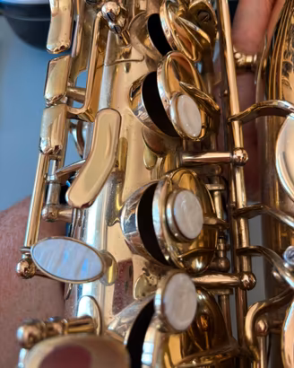 Sax contralto professionale usato