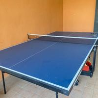 Tavolo da Ping pong