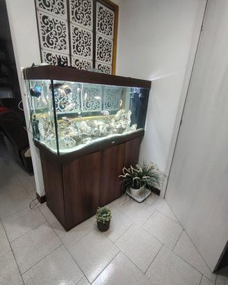 Acquario Juwel 350l con supporto