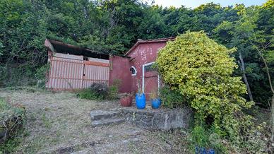 Terreno di 10000 m² a Arzignano