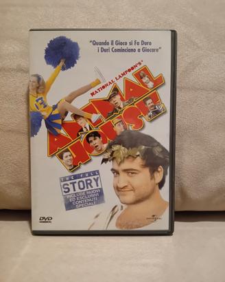 Animal House in DVD 