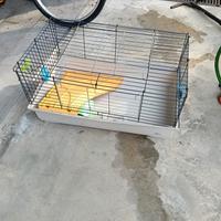 gabbia per coniglio nano
