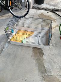 gabbia per coniglio nano