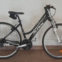 Bicicletta da donna