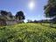 Immagine 25