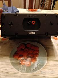 Diffusore centrale compatto