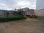 Immagine 11