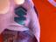 Immagine 4