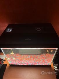 Acquario 30l