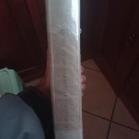 il piccolo talismano della felicità 