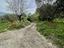 Immagine 22