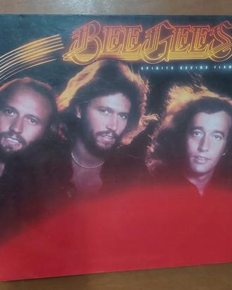 disco 33 giri bee gees