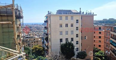 Appartamento Genova [Cod. rif 3344527VRG]