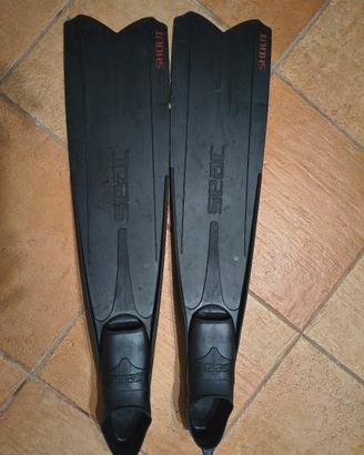 pinne professionali seac 