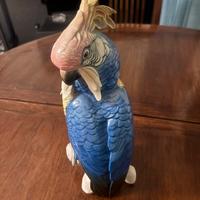 Ceramica "il pappagallo"