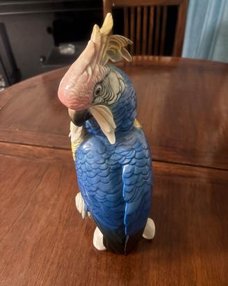 Ceramica "il pappagallo"