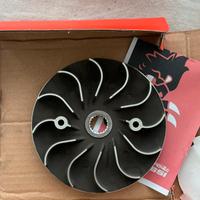 Semipuleggia ventilvar malossi sh300