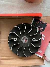 Semipuleggia ventilvar malossi sh300