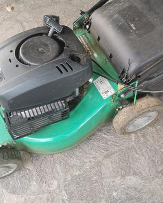 Taglia erba a motore