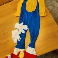 Costume carnevale Sonic