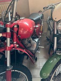Moto Guzzi Lodola regolarita' 235 del 1963