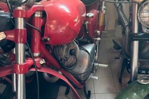 Moto Guzzi Lodola regolarita' 235 del 1963