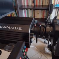 Cammus ddwb15 +Volante Gts