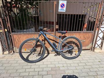 Bici da montagna e strada