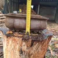vaso bonsai 