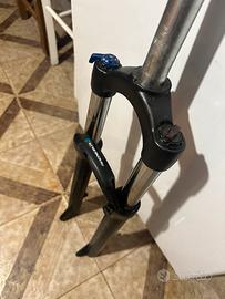 Forcella Zoom 860 ams