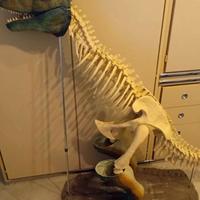 T-rex più riviste