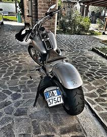 Harley-Davidson Softail Custom 1584