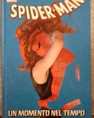 Spider-Man: Un Momento nel Tempo