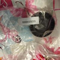 INA GALOPPINO GUIDACINGHIA