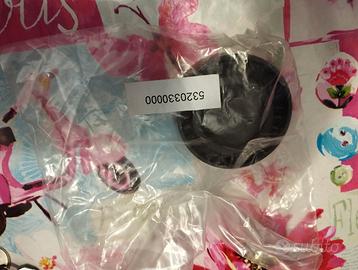 INA GALOPPINO GUIDACINGHIA