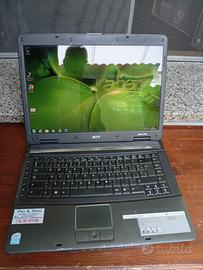 Acer extensa 