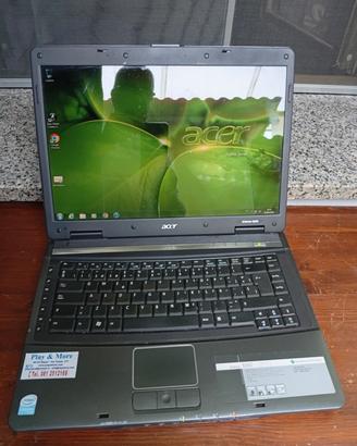 Acer extensa 