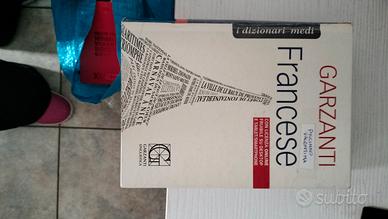 dizionario francese 