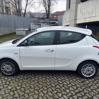 Lancia Ypsilon 1.2 69 CV 5 porte Platinum