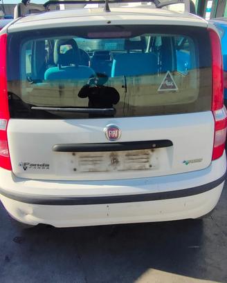FIAT PANDA 2008 PORTELLONE POSTERIORE
