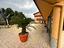 Immagine 20