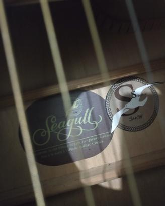 Seagull S6+CW