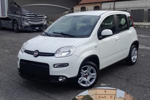 Panda Hybrid  Anno 2024