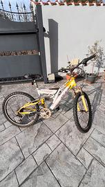 Bicicletta mtb