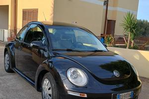 New beetle