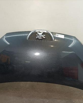 COFANO ANTERIORE PEUGEOT 107 1° Serie 1611149380