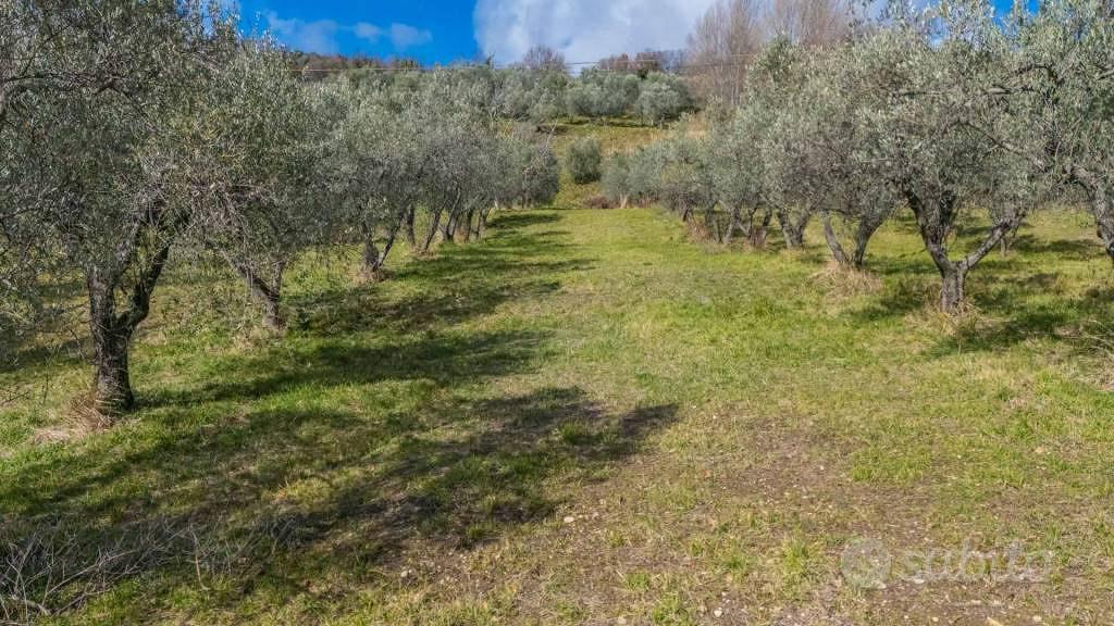 Terreno di 5630 m² a Montenero Sabino - Altro