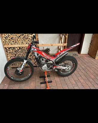 Trial beta evo 300