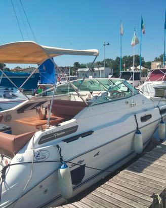 Sea ray 230